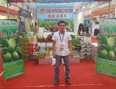 Triển lãm và xúc tiến thương mại